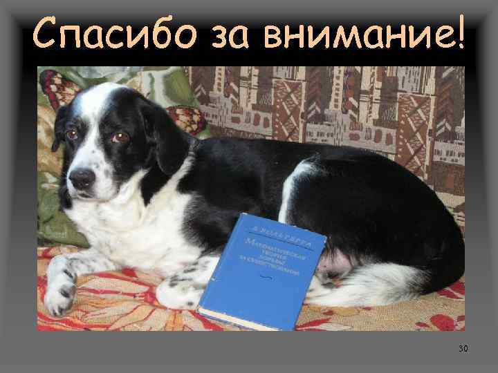 Спасибо за внимание! 30 