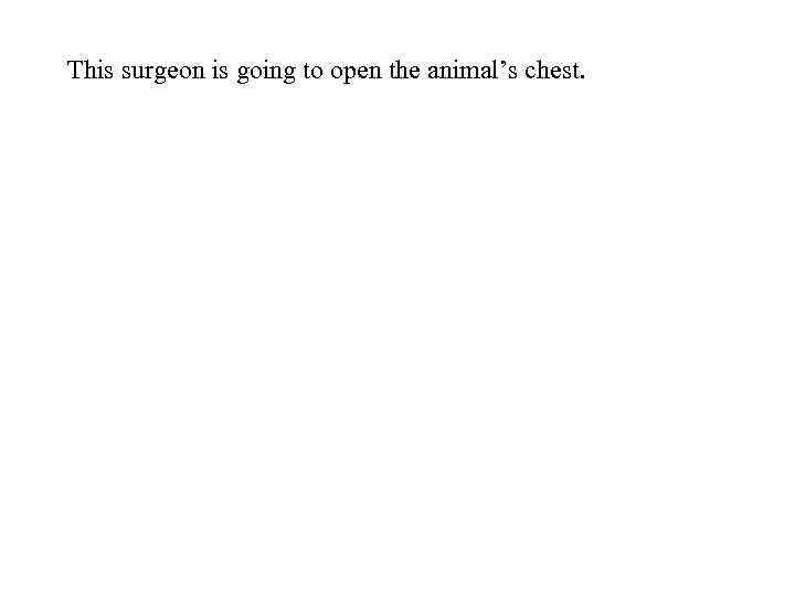 This surgeon is going to open the animal’s chest. 