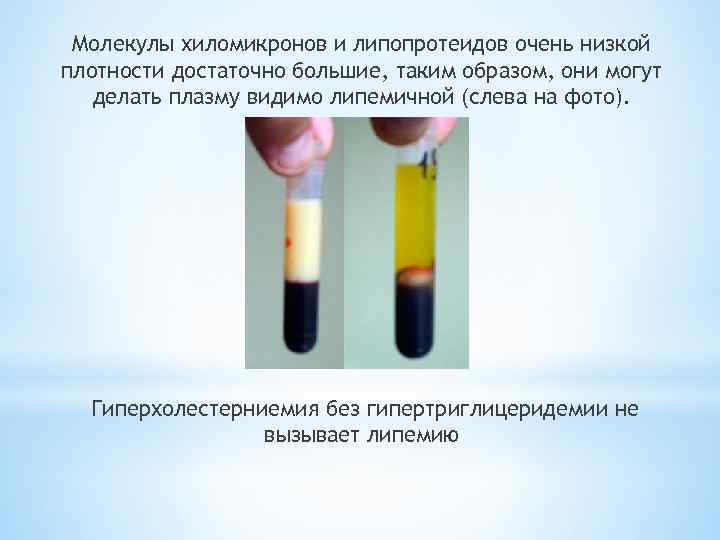 Молекулы хиломикронов и липопротеидов очень низкой плотности достаточно большие, таким образом, они могут делать