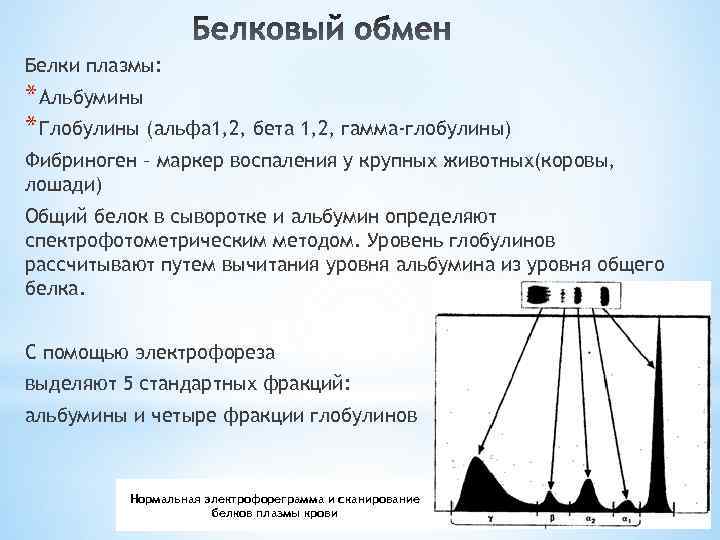 Белки плазмы: * Альбумины * Глобулины (альфа 1, 2, бета 1, 2, гамма-глобулины) Фибриноген