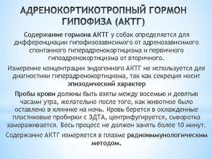 Содержание гормона АКТГ у собак определяется для дифференциации гипофизозависимого от адренозависимого спонтанного гиперадренокортицизма и
