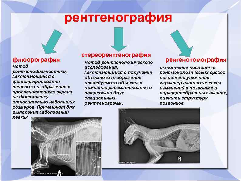 Суммационное изображение это