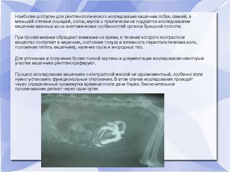 Наиболее доступен для рентгенологического исследования кишечник собак, свиней, в меньшей степени лошадей, ослов, мулов