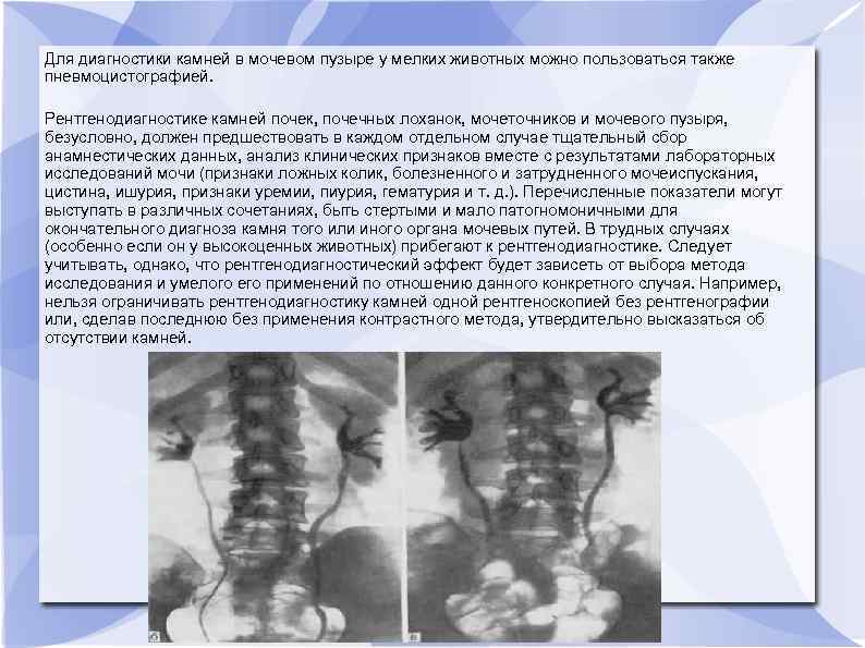Для диагностики камней в мочевом пузыре у мелких животных можно пользоваться также пневмоцистографией. Рентгенодиагностике