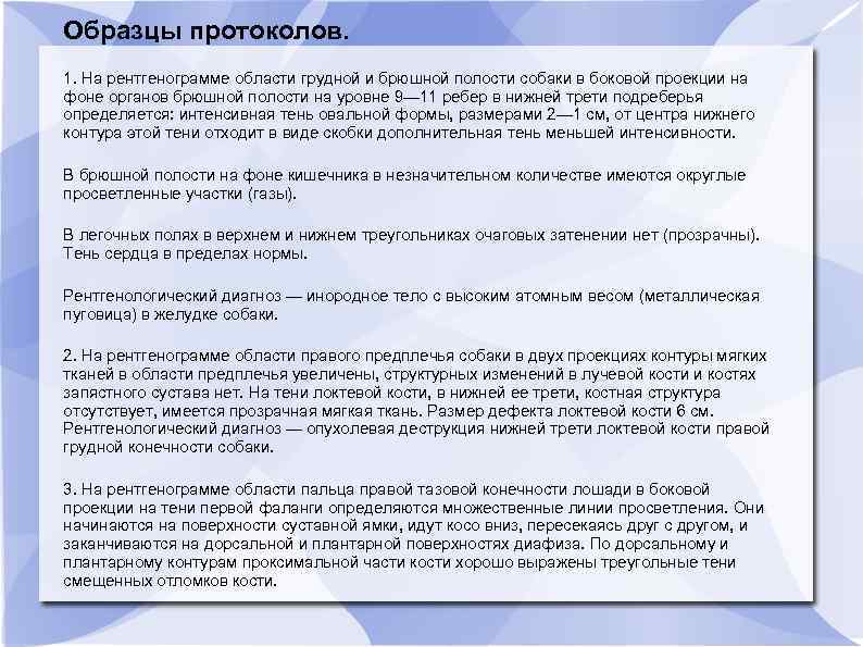 Образцы протоколов. 1. На рентгенограмме области грудной и брюшной полости собаки в боковой проекции