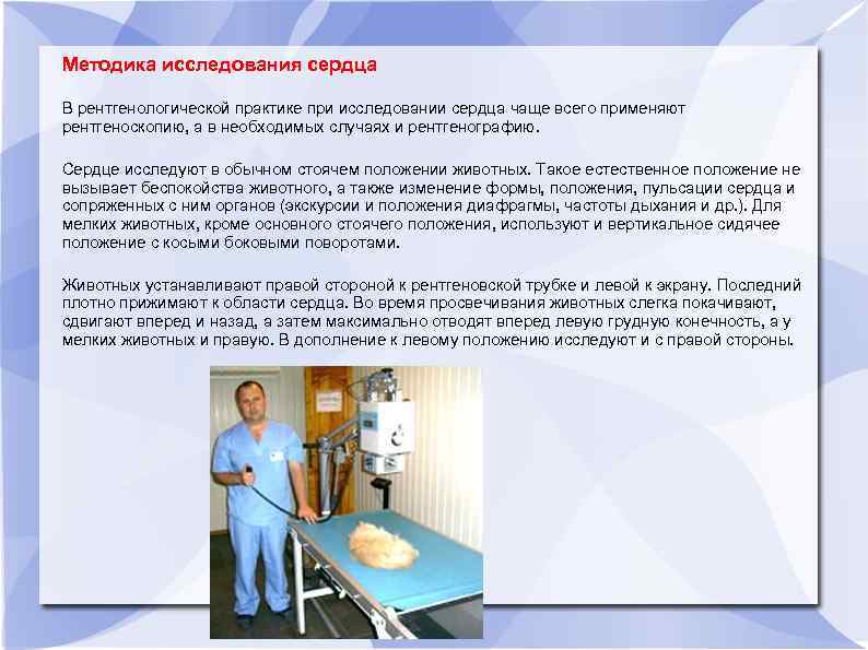 Методика исследования сердца В рентгенологической практике при исследовании сердца чаще всего применяют рентгеноскопию, а