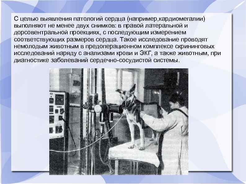 С целью выявления патологий сердца (например, кардиомегалии) выполняют не менее двух снимков: в правой