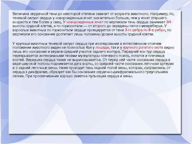 Величина сердечной тени до некоторой степени зависит от возраста животного. Например, по, теневой силуэт