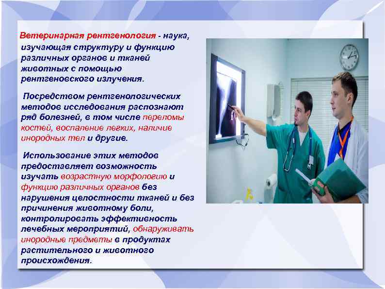  Ветеринарная рентгенология - наука, изучающая структуру и функцию различных органов и тканей животных