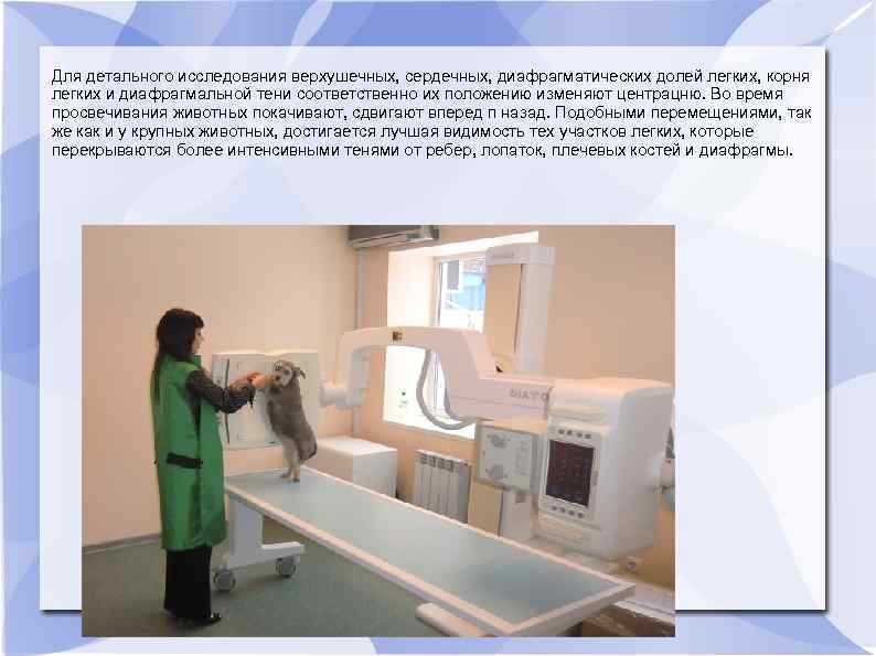 Для детального исследования верхушечных, сердечных, диафрагматических долей легких, корня легких и диафрагмальной тени соответственно