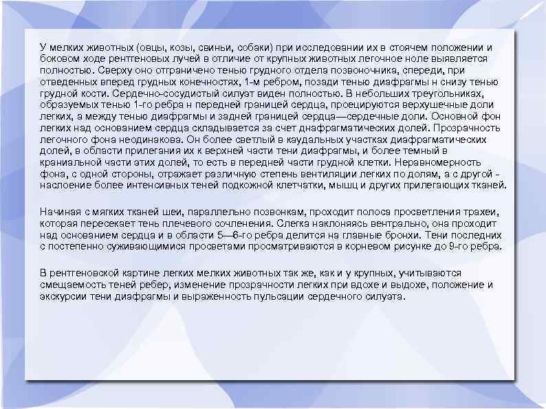 У мелких животных (овцы, козы, свиньи, собаки) при исследовании их в стоячем положении и