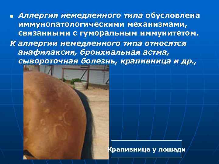 Аллергия немедленного типа обусловлена иммунопатологическими механизмами, связанными с гуморальным иммунитетом. К аллергии немедленного типа