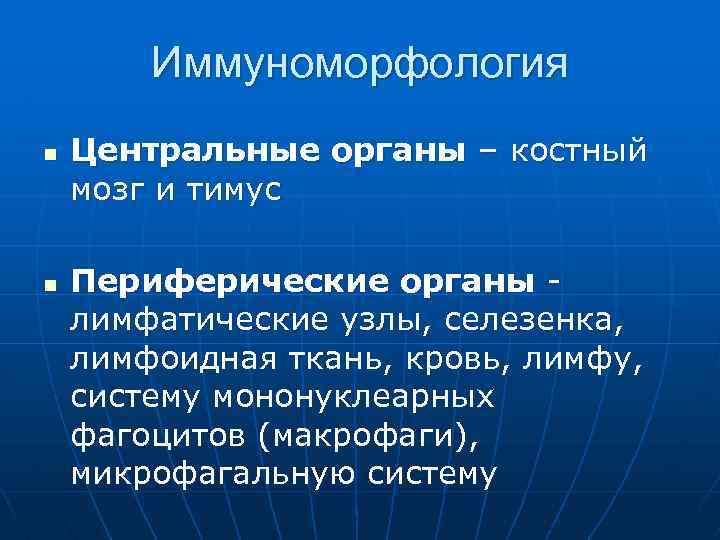 Иммуноморфология n n Центральные органы – костный мозг и тимус Периферические органы лимфатические узлы,
