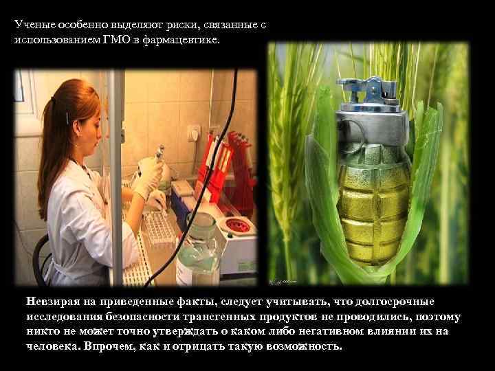 Ученые особенно выделяют риски, связанные с использованием ГМО в фармацевтике. Невзирая на приведенные факты,