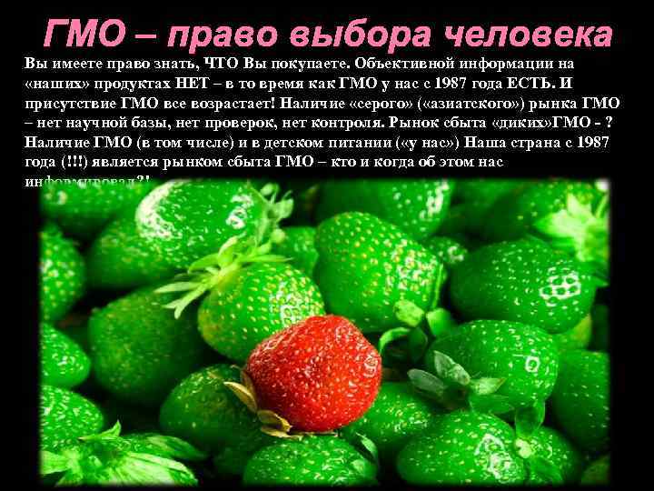 ГМО – право выбора человека Вы имеете право знать, ЧТО Вы покупаете. Объективной информации