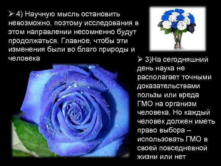 Ø 4) Научную мысль остановить невозможно, поэтому исследования в этом направлении несомненно будут продолжаться.