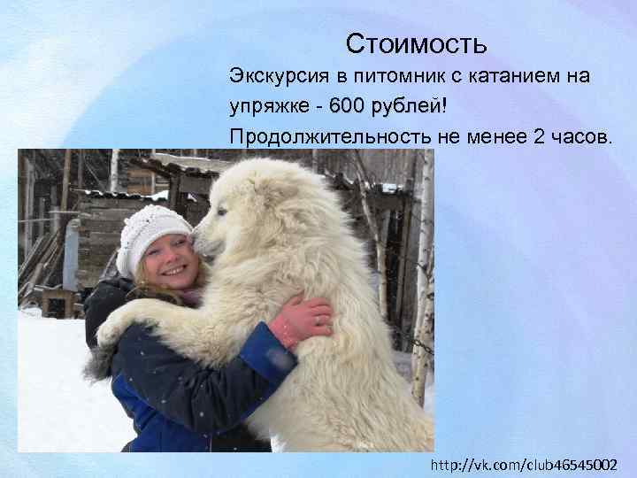 Стоимость Экскурсия в питомник с катанием на упряжке - 600 рублей! Продолжительность не менее