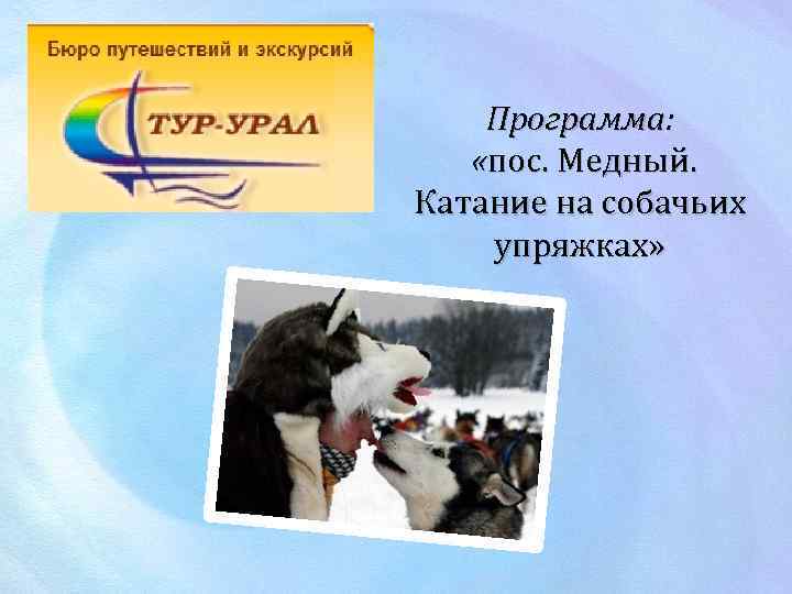Программа: «пос. Медный. Катание на собачьих упряжках» 
