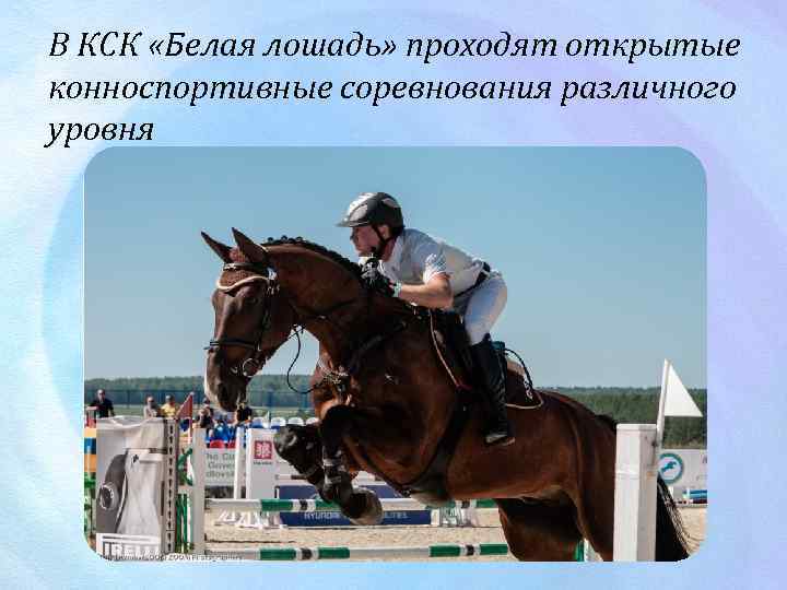 В КСК «Белая лошадь» проходят открытые конноспортивные соревнования различного уровня 