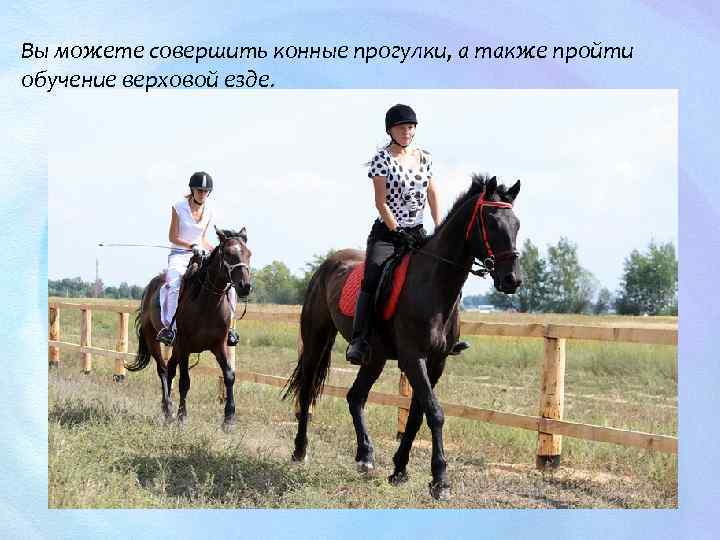 Вы можете совершить конные прогулки, а также пройти обучение верховой езде. 