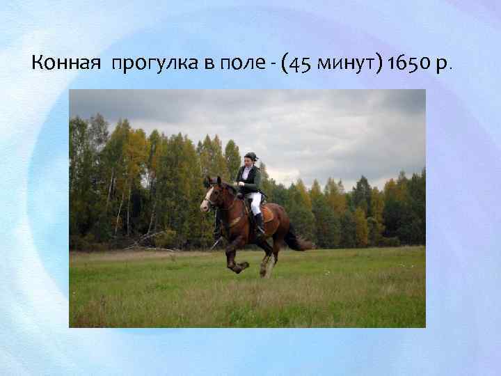 Конная прогулка в поле - (45 минут) 1650 р. 