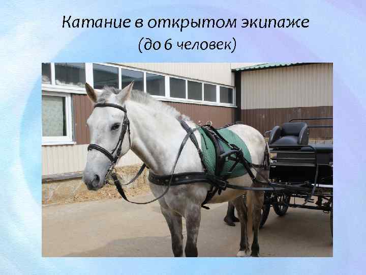 Катание в открытом экипаже (до 6 человек) 