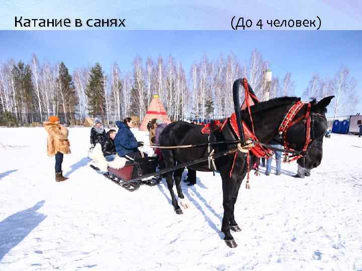 Катание в санях (До 4 человек) 