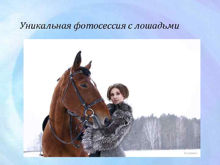 Уникальная фотосессия с лошадьми 