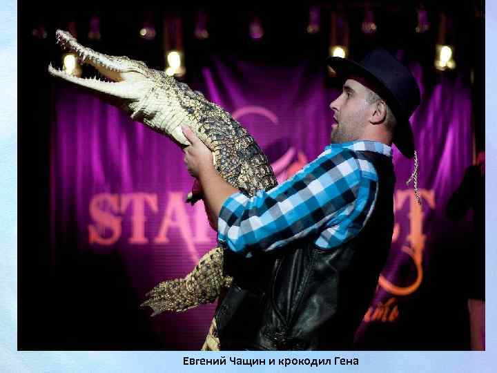 Евгений Чащин и крокодил Гена 