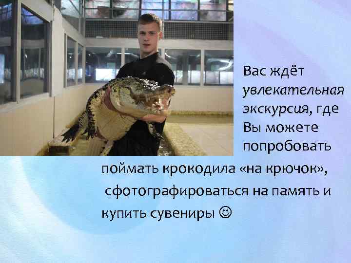 Вас ждёт увлекательная экскурсия, где экскурсия Вы можете попробовать поймать крокодила «на крючок» ,