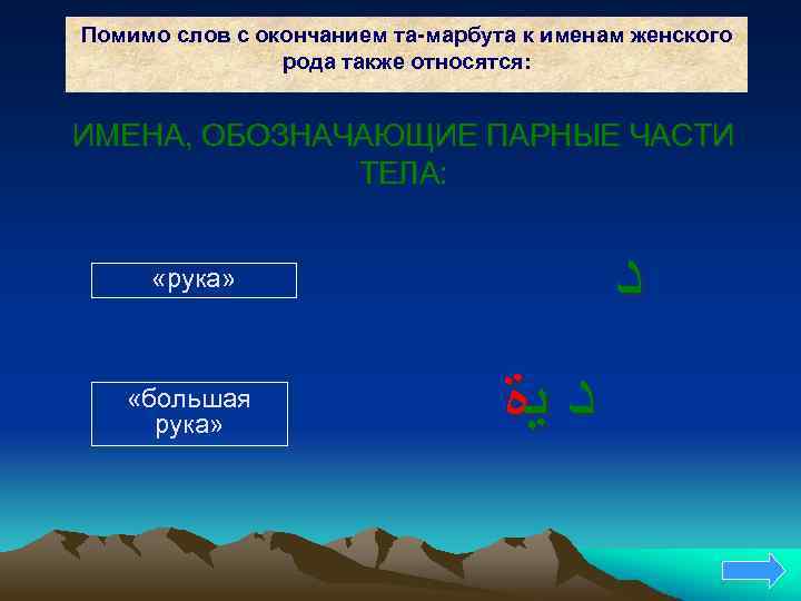 Помимо слов с окончанием та-марбута к именам женского рода также относятся: ИМЕНА, ОБОЗНАЧАЮЩИЕ ПАРНЫЕ