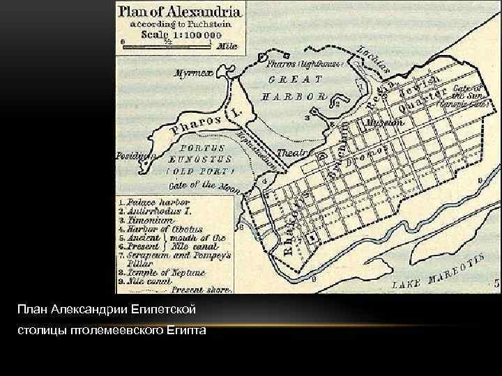 План Александрии Египетской столицы птолемеевского Египта 