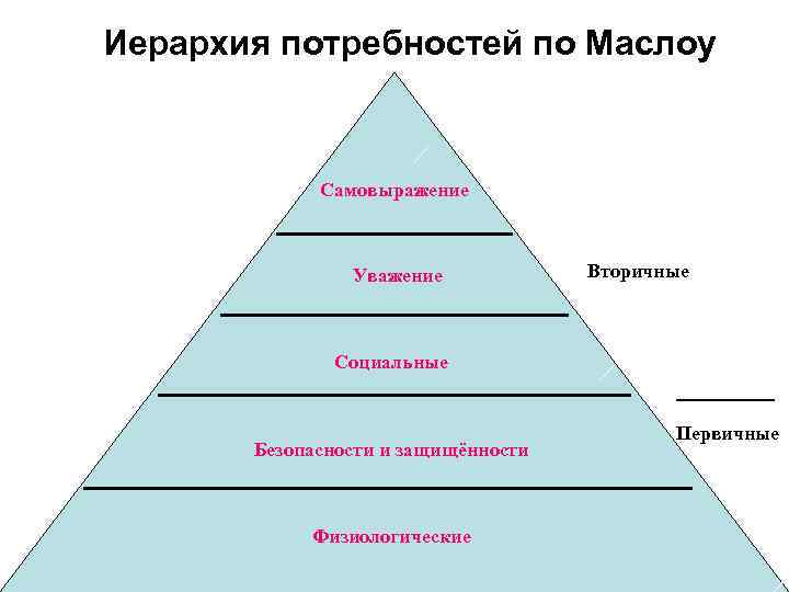 Иерархия потребностей по Маслоу Самовыражение Уважение Вторичные Социальные -------Безопасности и защищённости Физиологические Первичные 