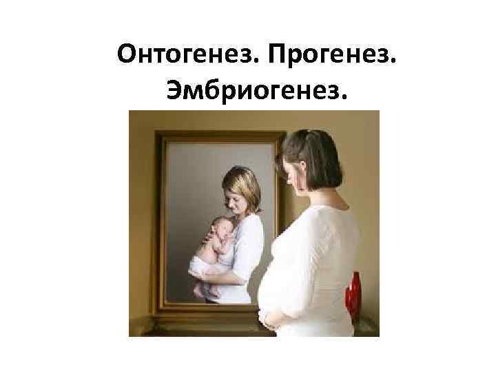 Онтогенез. Прогенез. Эмбриогенез. 