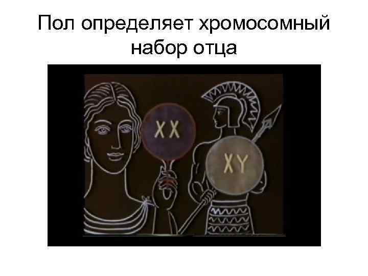 Пол определяет хромосомный набор отца 