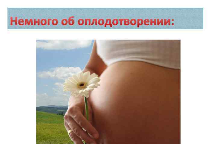 Немного об оплодотворении: 