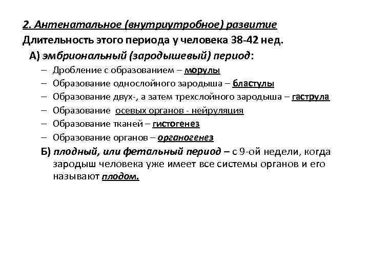 2. Антенатальное (внутриутробное) развитие Длительность этого периода у человека 38 -42 нед. А) эмбриональный