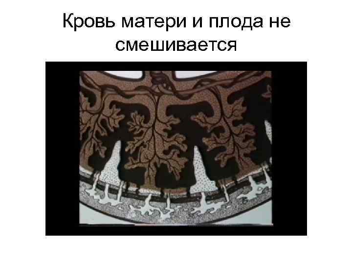 Кровь матери и плода не смешивается 