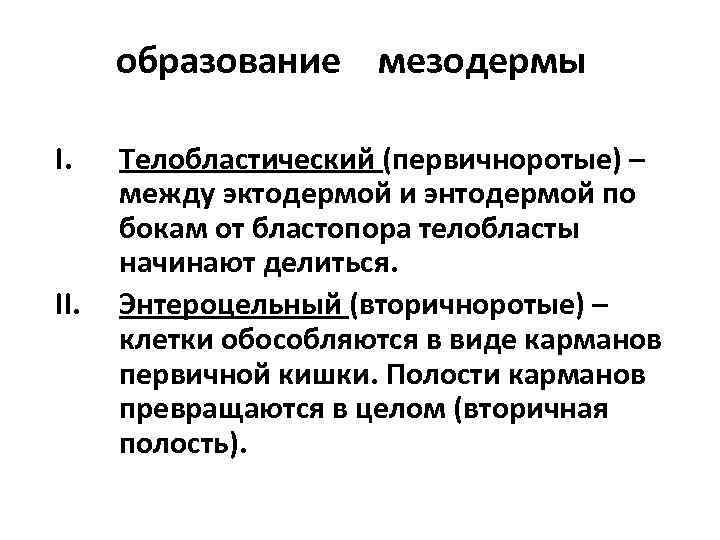 образование мезодермы I. II. Телобластический (первичноротые) – между эктодермой и энтодермой по бокам от