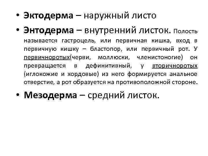  • Эктодерма – наружный листо • Энтодерма – внутренний листок. Полость называется гастроцель,