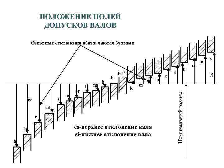 33 ПОЛОЖЕНИЕ ПОЛЕЙ ДОПУСКОВ ВАЛОВ Основные отклонения обозначаются буквами ef fg k m n