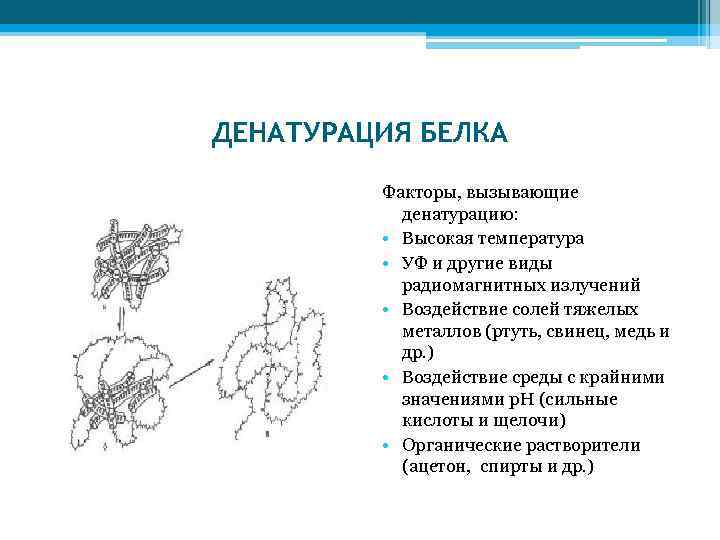 Факторы белков