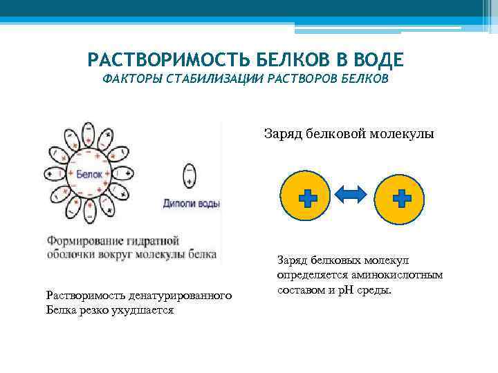 Растворы белков