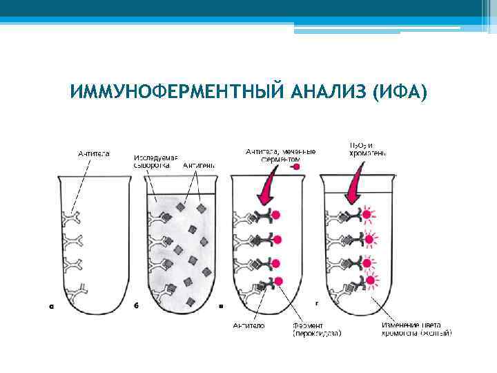 Необходимые ингредиенты особенности и схема постановки неконкурентного ифа методом сэндвича