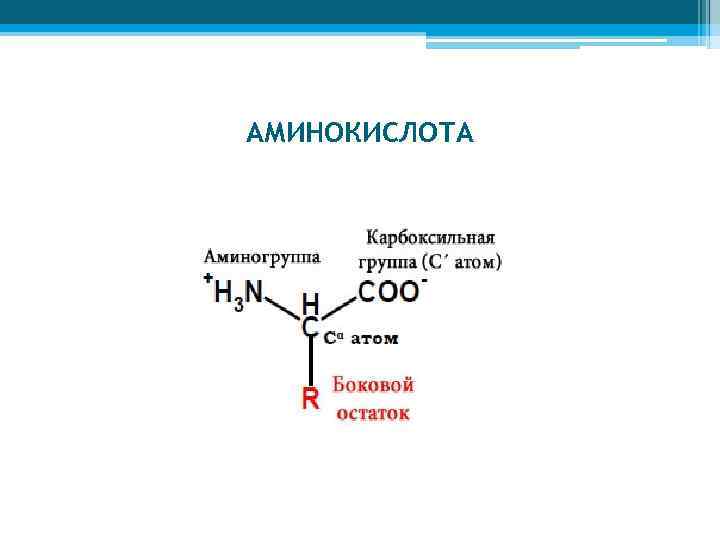 АМИНОКИСЛОТА 