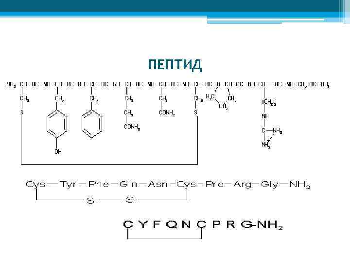 ПЕПТИД 