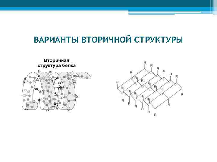 ВАРИАНТЫ ВТОРИЧНОЙ СТРУКТУРЫ 