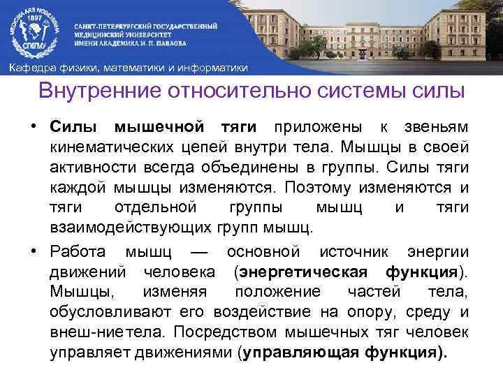 Кафедра физики, математики и информатики Внутренние относительно системы силы • Силы мышечной тяги приложены