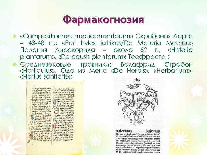 Фармакогнозия «Compositionnes medicamentorum» Скрибония Ларга – 43 -48 гг. ; «Peri hyles iatrikes/De Materia