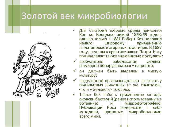 Золотой век микробиологии Для бактерий твёрдые среды применял Кон во Вроцлаве зимой 1868/69 годов,